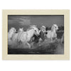 Chevaux au galop dans l'étang de Ginès, près des Saintes-Maries-de-la-Mer