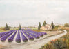 Le Mazet aux lavandes, reproduction d’une œuvre de Claude Legrand