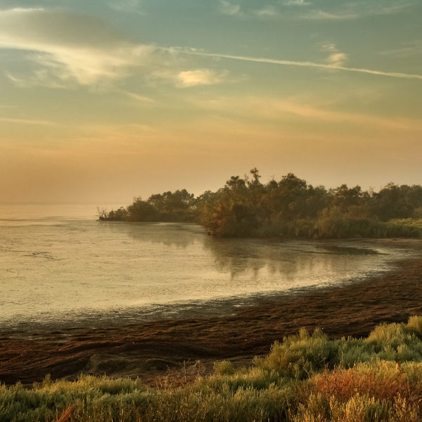 L'étang de Vaccarès un matin d'hiver