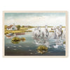''Chevaux de Camargue au marais''