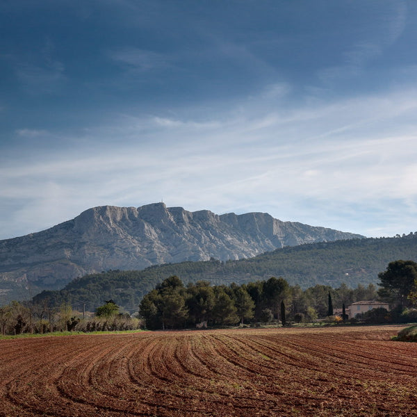 Sainte victoire près d'Aix en Provence