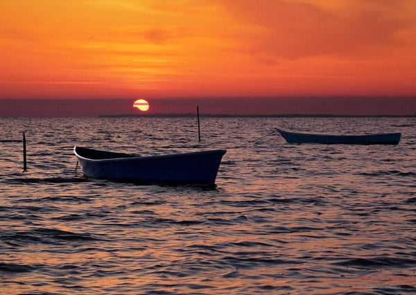 Barques de pêcheurs sur le Vaccarès