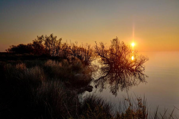 Coucher de soleil sur l'étang de Vaccarès