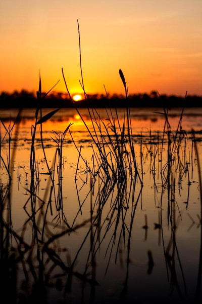 Coucher de soleil sur le marais