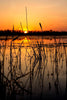 Coucher de soleil sur le marais