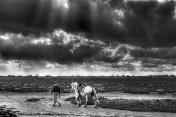 Gardian et son cheval