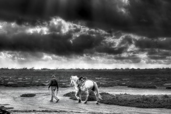 Poster de Camargue, gardian et son cheval