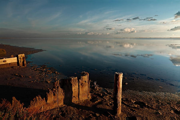 Martelière sur l'étang du Galabert en Camargue