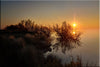 Paysage de Camargue : l'étang de vaccarès au coucher du soleil