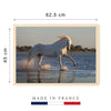 Cheval de Camargue au galop dans un étang près des Saintes-Maries-de-la-Mer