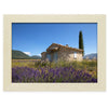 Cabanon de berger dans un champ de lavandes, Alpes de Haute-Provence,  photographie de Vincent Recordier