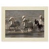 Troupeau de chevaux Camargue traversant l’étang de Ginès