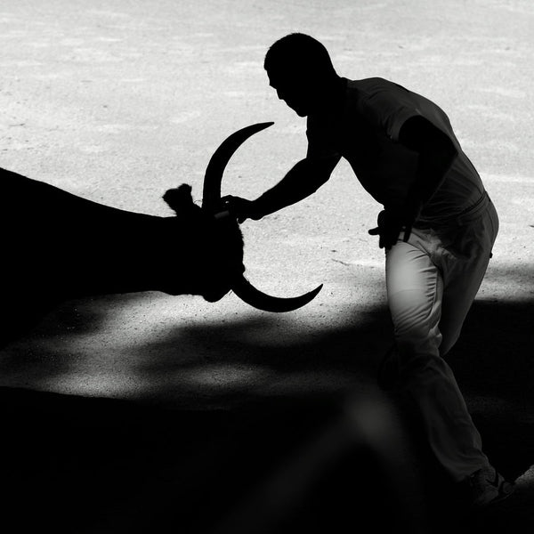 Razeteur et taureau dans une course Camarguaise