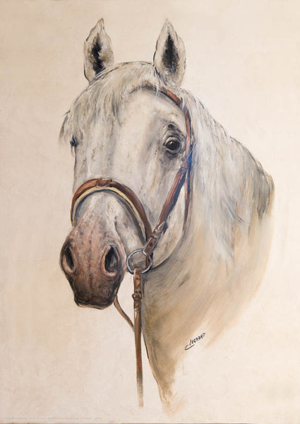 Portait d’un Cheval Camargue, reproduction d’une œuvre de Claude Legrand
