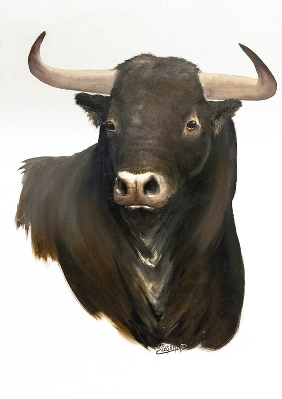 Portrait d’un taureau espagnol #1, reproduction d’une œuvre de Claude Legrand