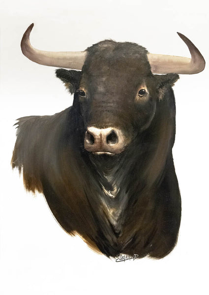 Portrait d’un taureau espagnol #1, reproduction d’une œuvre de Claude Legrand