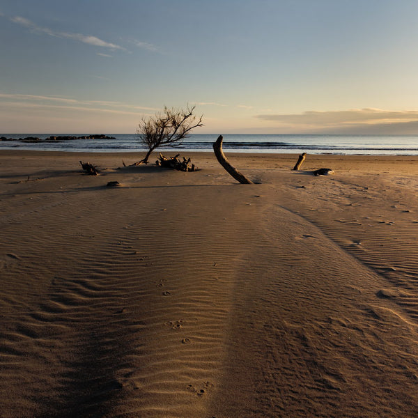 La plage au lieu-dit Le Grand Radeau