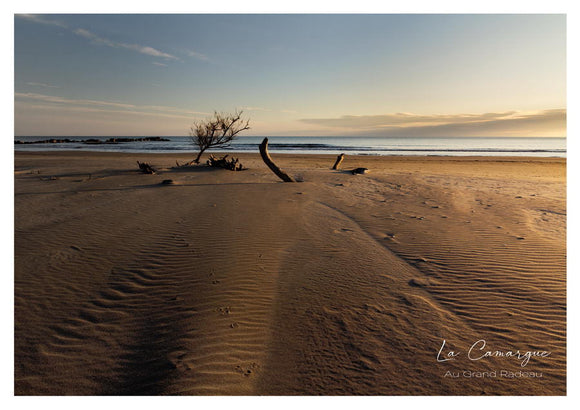 La plage près du Grand Radeau