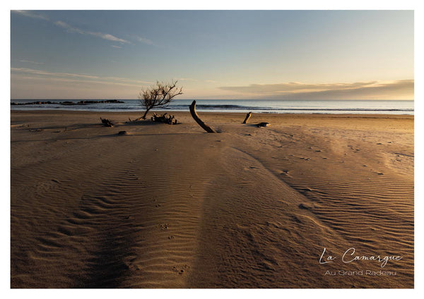 La plage près du Grand Radeau