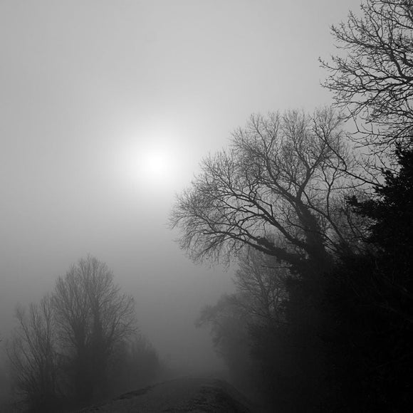 Brumes d’un matin d’hiver en Camargue