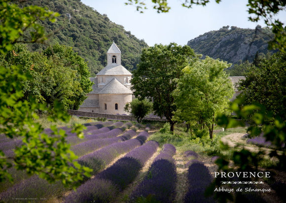 Vue sur l’abbaye de Sénanque, près de Gordes