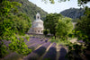 Vue sur l’abbaye de Sénanque, près de Gordes