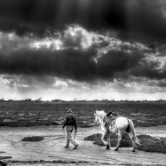 Gardian et son cheval un après-midi d’été