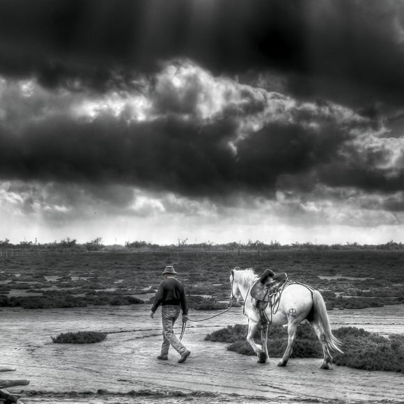 Gardian et son cheval un après-midi d’été