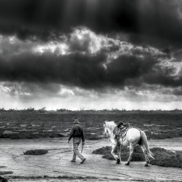 Gardian et son cheval un après-midi d’été