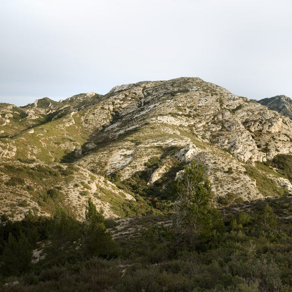 Les Alpilles, près d’Eyguières