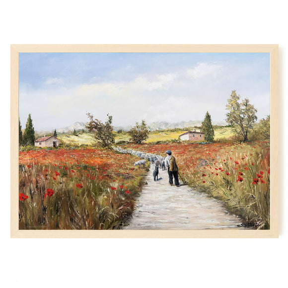 Le petit berger de Provence