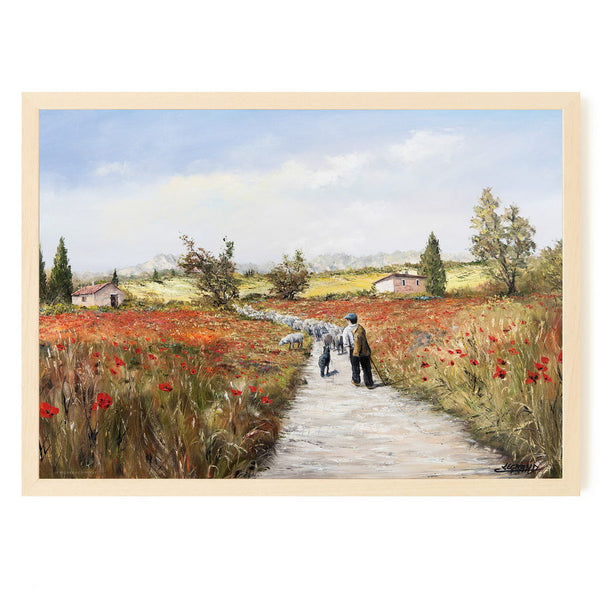 Le petit berger de Provence