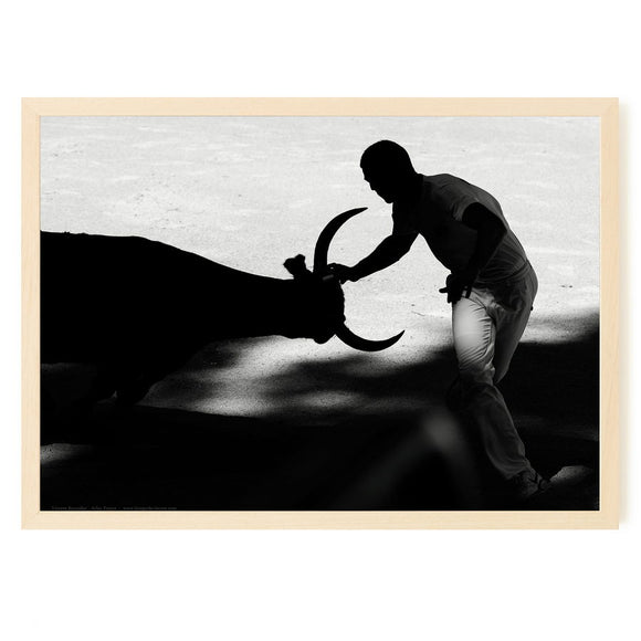 Course à la Cocarde en Camargue