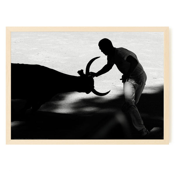 Course à la Cocarde en Camargue