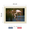 Flamant rose près des Saintes Maries de la mer