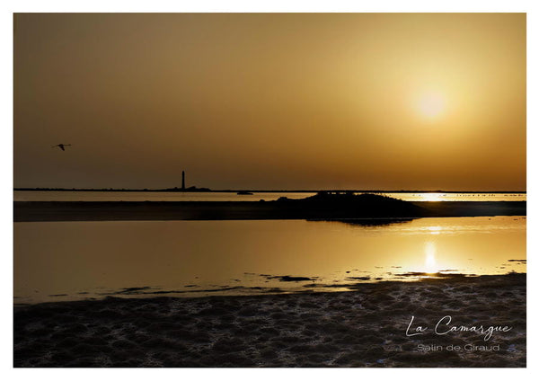 Les salins de Salin-de-Giraud