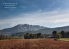 Sainte Victoire, Près d’Aix-en-Provence