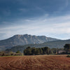 Sainte victoire près d'Aix en Provence