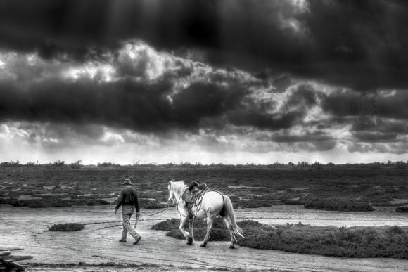 Cartes postale : Gardian et son cheval en Camargue
