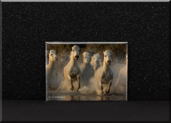 Magnet troupeau de chevaux camargue #2