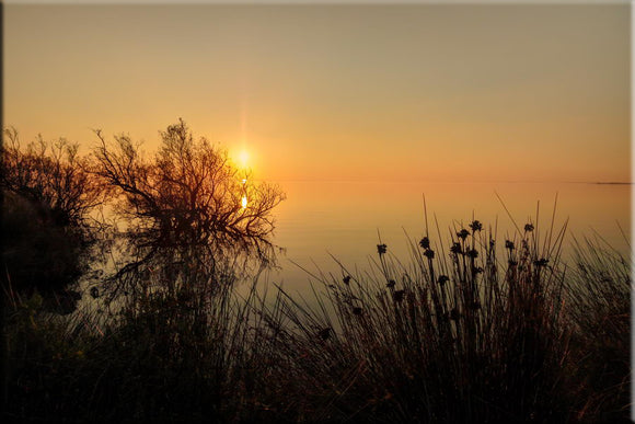 Paysage de camargue : l'étang de Vaccarès au coucher du soleil