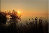 Paysage de camargue : l'étang de Vaccarès au coucher du soleil