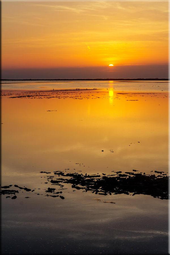 Paysage de Camargue : coucher de soleil sur un étang près de Salin de Giraud
